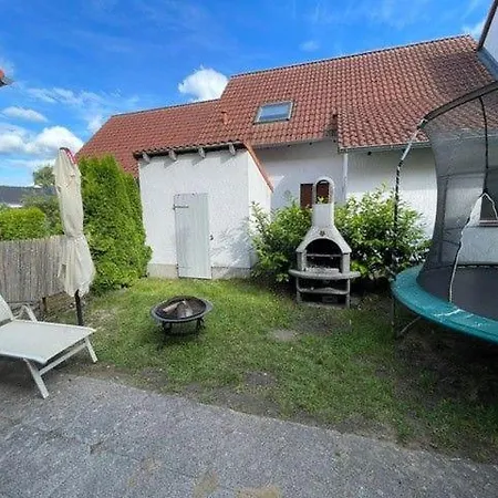 Daisies King's * Rechlin